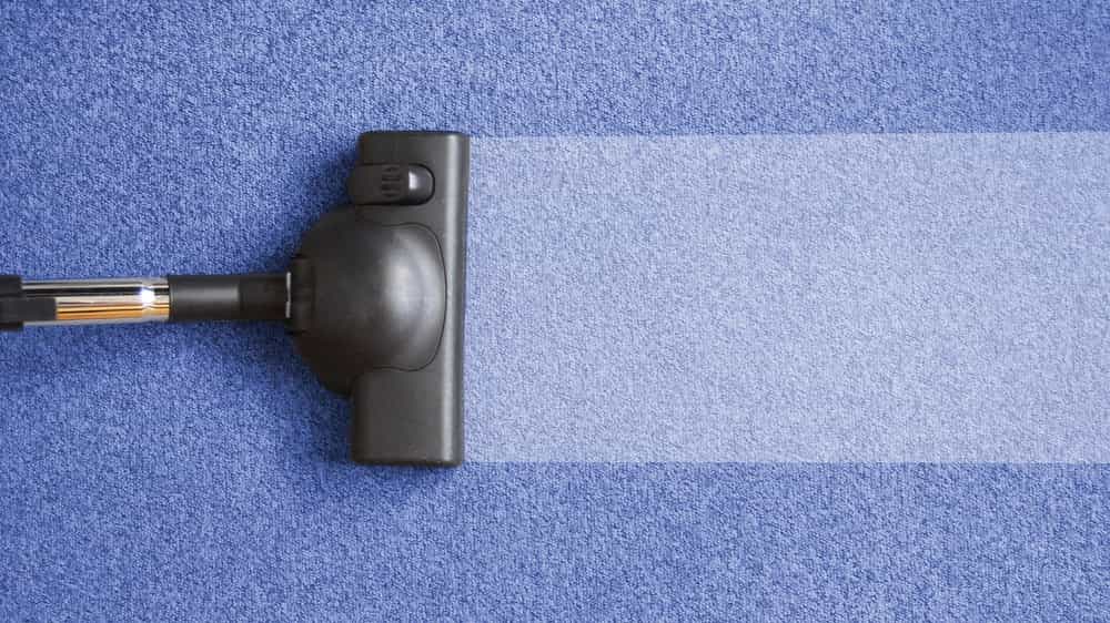 Carpet Cleaning