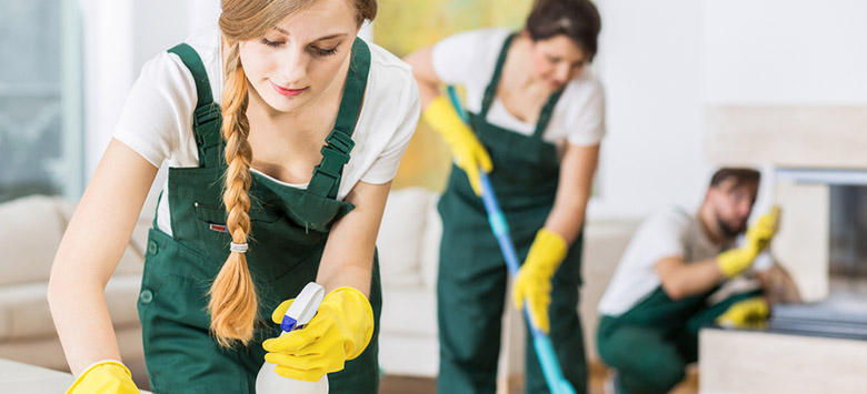 Home cleaners helping the homeowner do their cleaning chores.