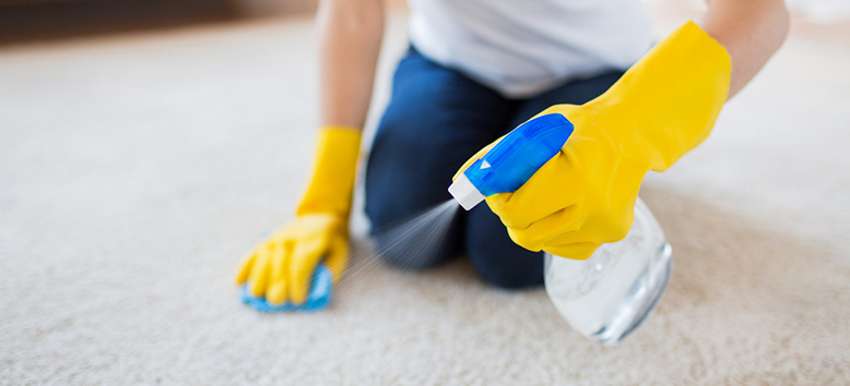 How to Shampoo the Carpet Fast & Easy - Guide by Fantastic Cleaners