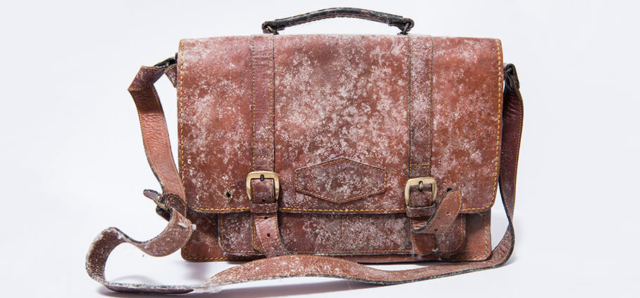 How to Remove Mould and Mildew from Leather