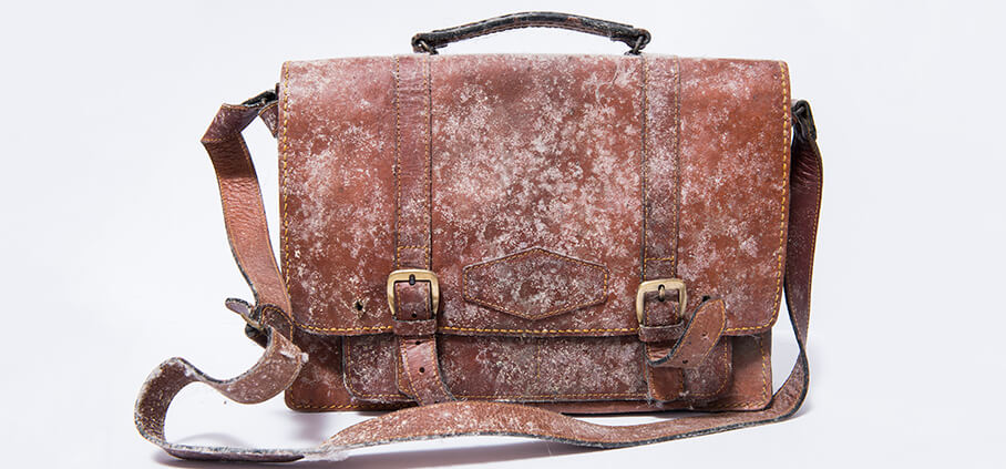 MOULD ON LOUIS VUITTON ?!! ~ HOW TO REMOVE MOULD FROM LEATHER BAGS 