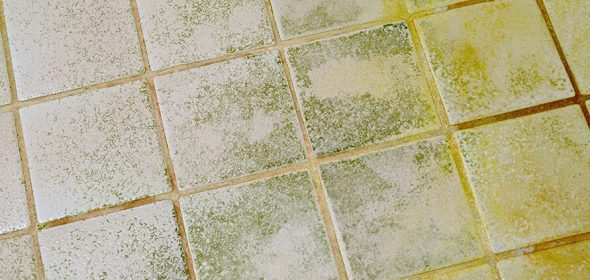 Removing Paint from Tiles and Grout