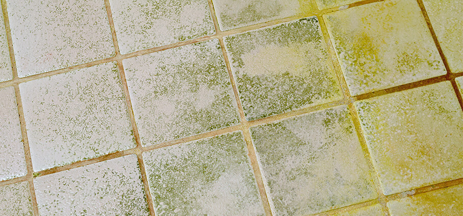 Remove Paint From Tiles And Grout, How To Clean A Rough Tile Floor