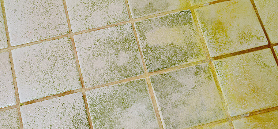 Get Rid of Rust and Dye Stains in your Shower with a Tile and Grout Cleaning  and Sealing Service