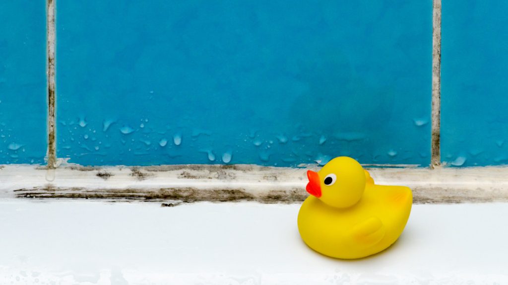 Yellow ducky in a bathroom, blue tiles with condensation, mouldy grout, mouldy bath sealant