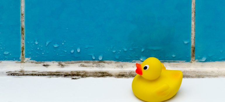 Yellow ducky in a bathroom, blue tiles with condensation, mouldy grout, mouldy bath sealant