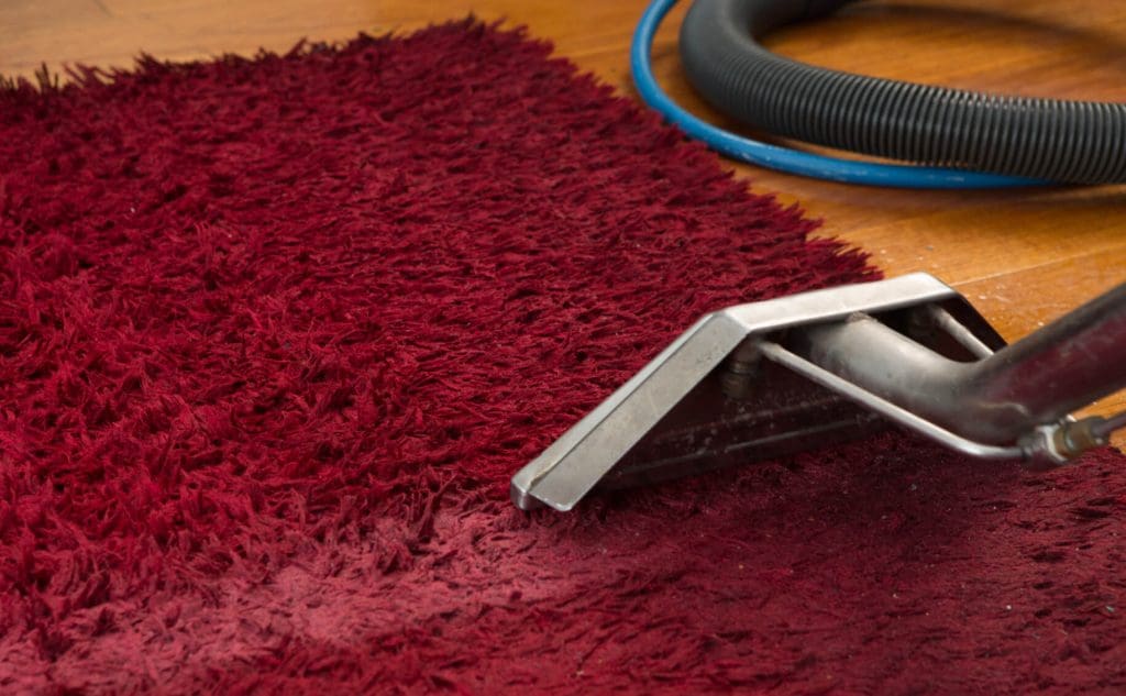 Carpet clean