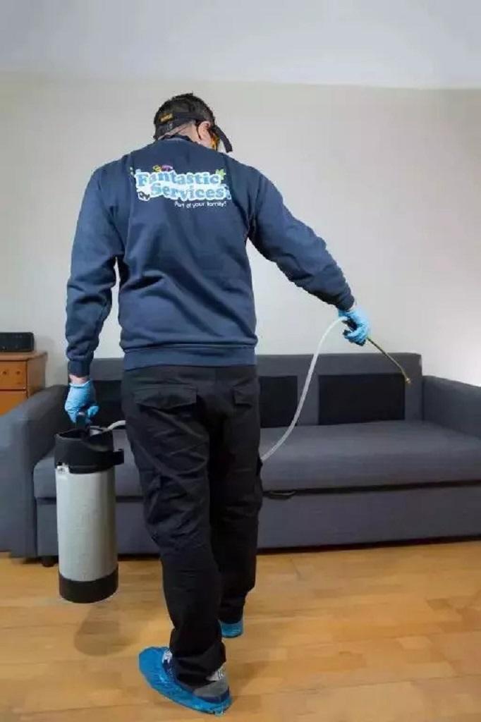 End of Lease Pest Control Services