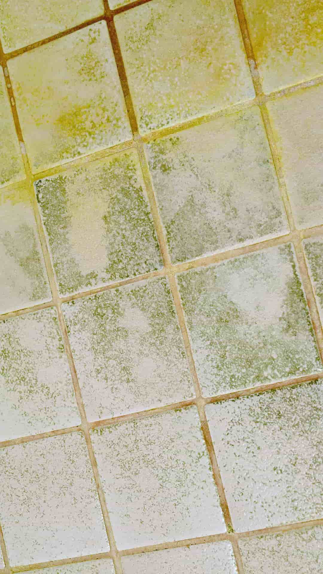 Tile and grout sealing