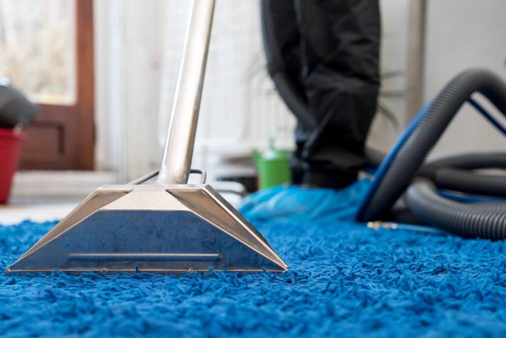close up of carpet cleaner working on a blue synthetic carpet