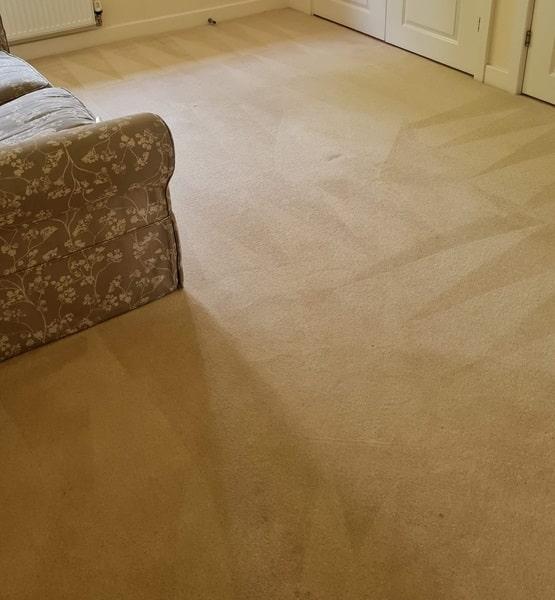 Carpet shampooer Perth after