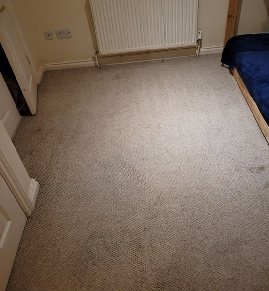 Carpet steam cleaning Sydney after